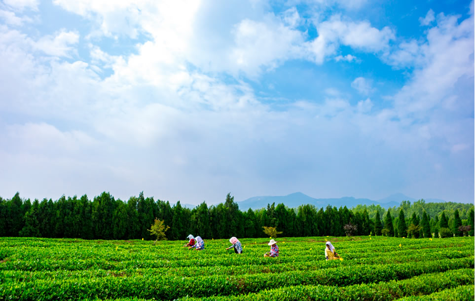 ��ִ���I(y��)